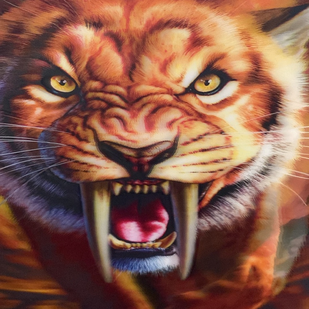 Lenticular 3D Saber Tooth Tiger Poster Framed 17 x 17 inches